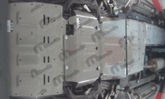23333-1845-1-6_p6519.jpg-4